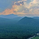 Июль в Сихотэ-Алинском заповеднике — жаркая макушка лета