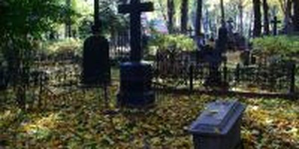 В Шотландии разработаны «экологичные» похороны