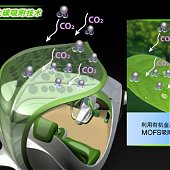 Концепткар превращает углекислый газ в кислород (ФОТО)