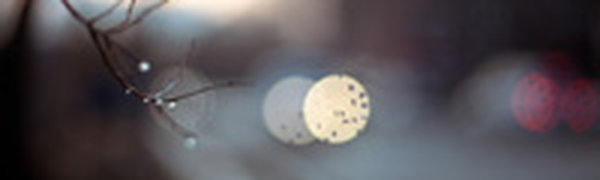 Теплая и бесснежная зима в Приморье завершилась сухим февралем