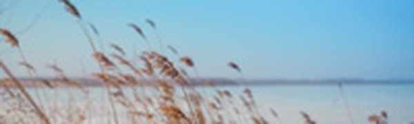 В Приморье пришел март, но весеннее тепло еще в пути