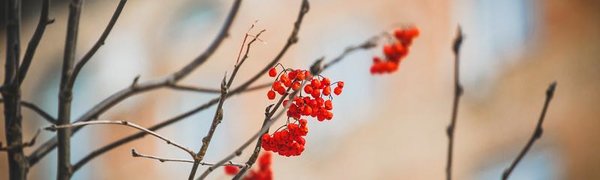 Погода в Приморье: от морозов к теплу и снова в мороз