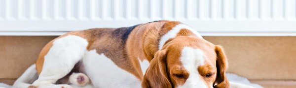 Жилые дома в Приморье начали подключать к теплу