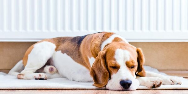 Жилые дома в Приморье начали подключать к теплу