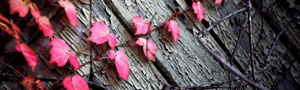 Самая холодная ночь в октябре зафикирована в Приморье