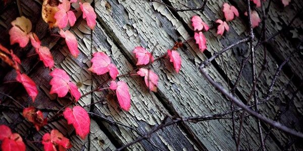 Самая холодная ночь в октябре зафикирована в Приморье