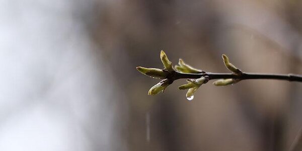 В последние выходные апреля Приморье находилось под воздействием активного циклона
