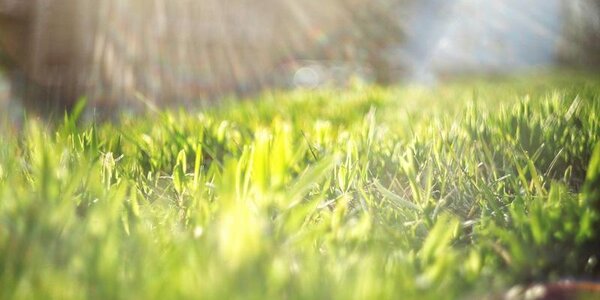 Теплая погода пришла в Приморье с наступлением мая