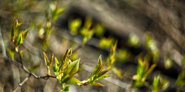 Синоптики рассказали о погоде на длинных выходных в Приморье