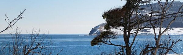 Ветреная погода сохранится в Приморье во вторник