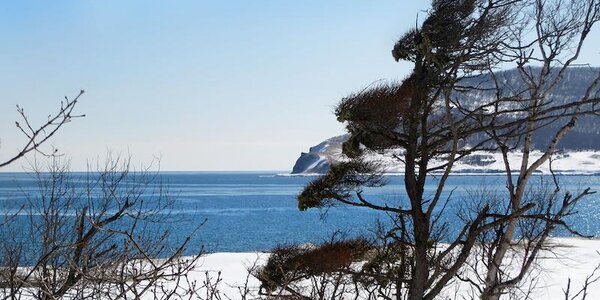 Ветреная погода сохранится в Приморье во вторник