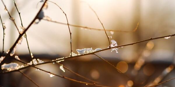 Синоптики уточнили прогноз погоды на короткую рабочую неделю