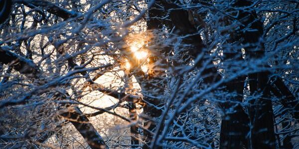 Неустойчивая погода прогнозируется в Приморье на праздничных выходных