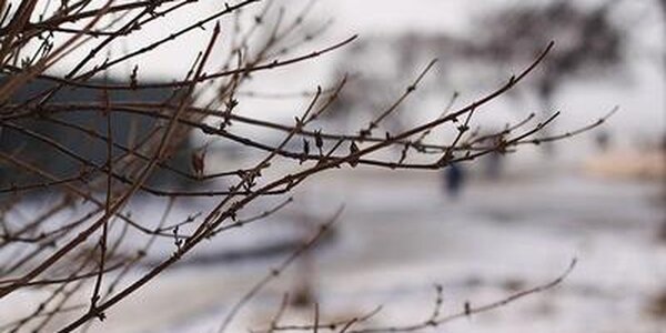 Потепление приходит в Приморье