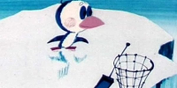 Студенческий отряд впервые отправится на уборку Арктики этим летом