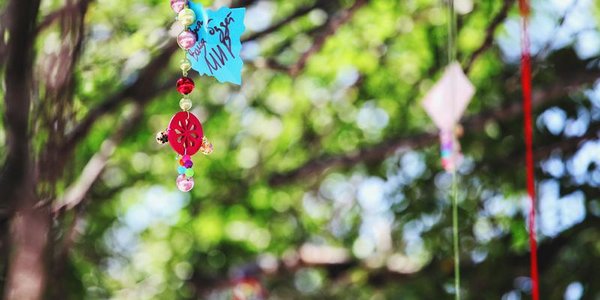 Выходные в Приморье пройдут при облачной погоде с прояснениями