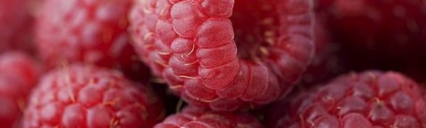 Ярмарка на главной площади Владивостока будет работать в пятницу и субботу