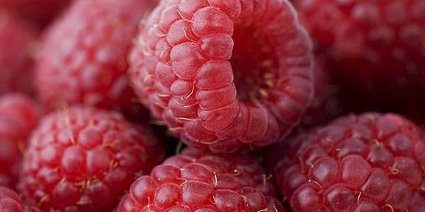 Ярмарка на главной площади Владивостока будет работать в пятницу и субботу