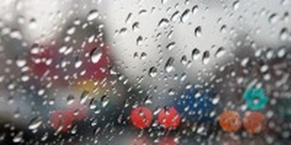 Завтра в крае дождиво и прохладно