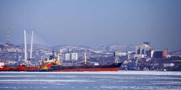 Чем дышал Владивосток с 19 по 29 февраля?