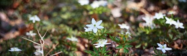 В субботу в Приморье местами снег, в воскресенье — солнечно и тепло