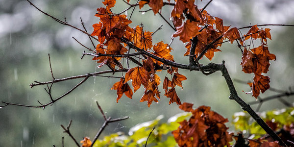 Во Владивостоке прошел первый осенний дождь