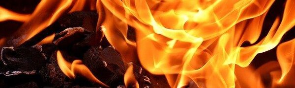 28 – 29 мая высокий уровень пожароопасности леса будет в пяти районах Приморья