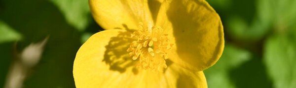 Последние выходные весны в Приморье будут жаркими