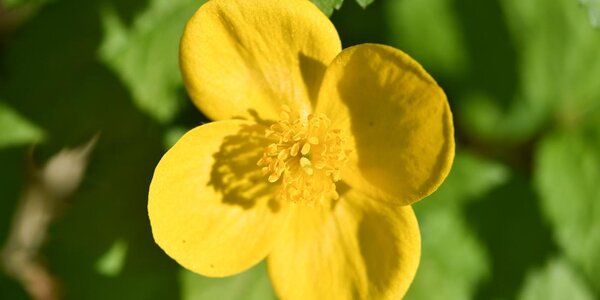 Последние выходные весны в Приморье будут жаркими