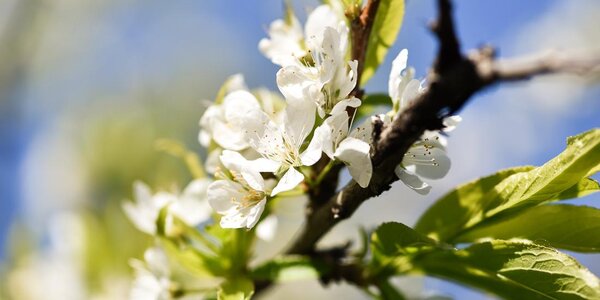Местами до +32 °С будет в Приморье в пятницу