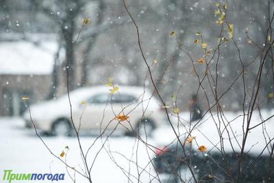 В пятницу в Приморье пройдёт небольшой снег