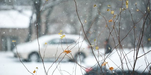 Во вторник в Приморье вернётся зима