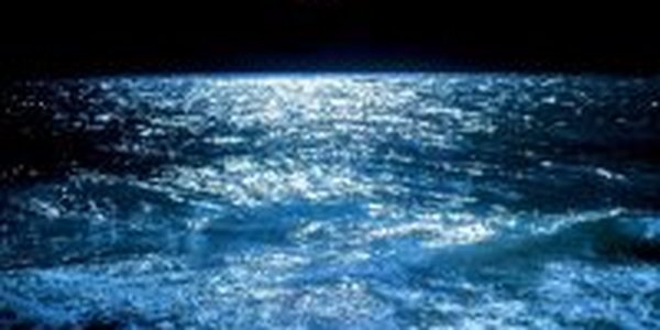 Заплывом при луне завершился купальный сезон в Хельсинки