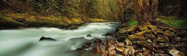 Из-за сильных дождей на выходных на реках юго-восточных и центральных районов Приморья сформировались паводки (СПИСОК РЕК)