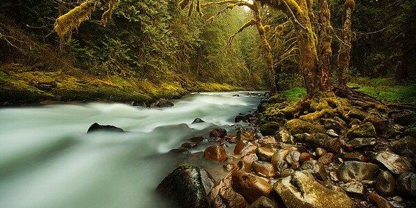 Из-за сильных дождей на выходных на реках юго-восточных и центральных районов Приморья сформировались паводки (СПИСОК РЕК)