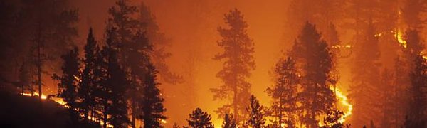 В Сибири и на Дальнем Востоке горят леса на площади в два миллиона гектаров