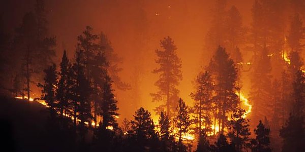 В Сибири и на Дальнем Востоке горят леса на площади в два миллиона гектаров