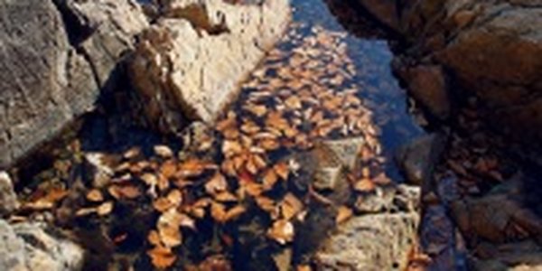 Приморье до снега(ФОТО)