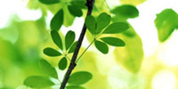 В эти выходные погода подарила Приморью теплые деньки