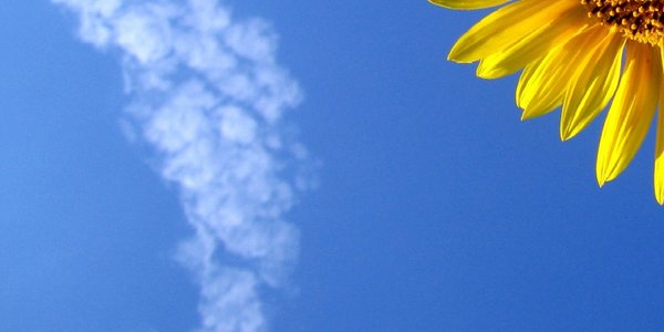 Сегодня в Приморье будет тепло и без осадков