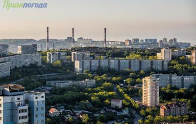 Чем дышал Владивосток с 22 по 31 мая?