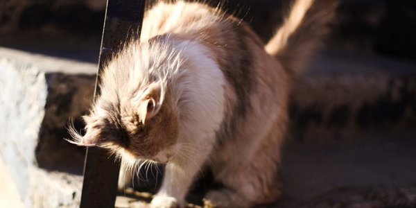 Завтра на юге Приморья столбики термометров могут подняться выше 0 °С