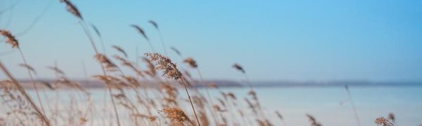 Прогноз на выходные: в Приморье идёт весеннее тепло