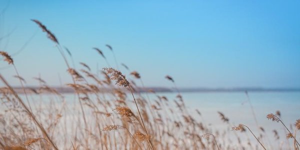 Прогноз на выходные: в Приморье идёт весеннее тепло