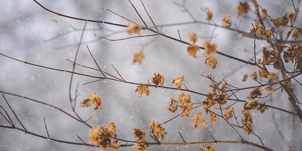 В выходные дни циклон испортит погоду на юге Приморья