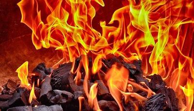 Из-за повышения температуры уровень пожароопасности в большинстве районов Приморья увеличится до 3 класса