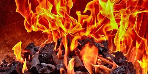 Из-за повышения температуры уровень пожароопасности в большинстве районов Приморья увеличится до 3 класса