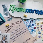 «Угадай дату первого снегопада во Владивостоке»: Вручаем призы!