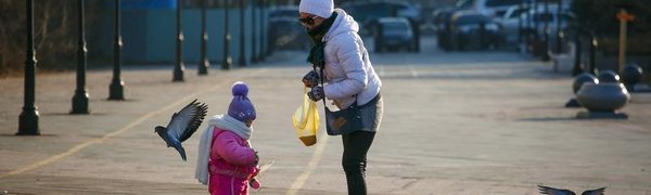 На этой неделе температура в Приморье будет постепенно повышаться