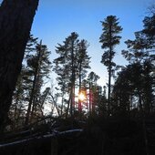 Ноябрь в Сихотэ-Алинском заповеднике – предзимье